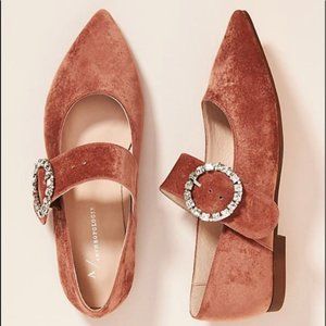 [New w/Box] Anthropologie Mary Jane Embellished Buckle Flats || Taupe Size 6